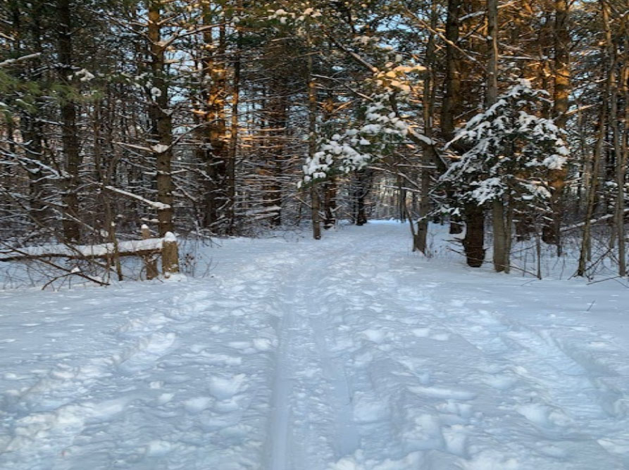 NCC ski trail