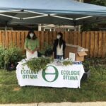 Ecology Ottawa Tree Giveaway