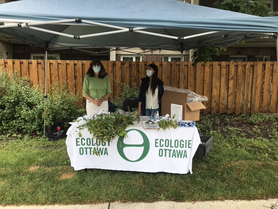 Ecology Ottawa Tree Giveaway