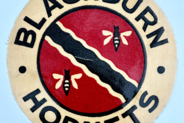 Blackburn Hornets Logo