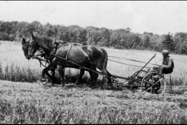 Plow Field