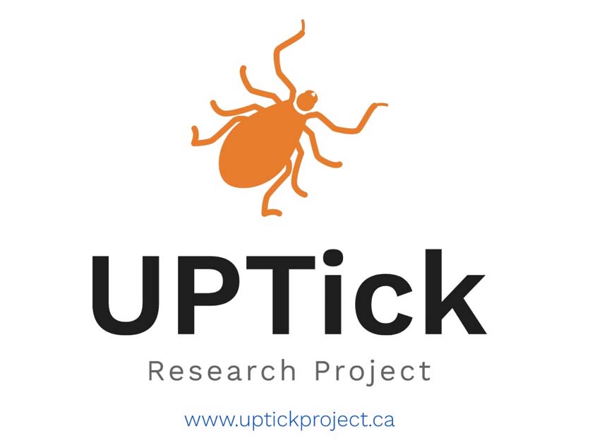 UPTick Research Project