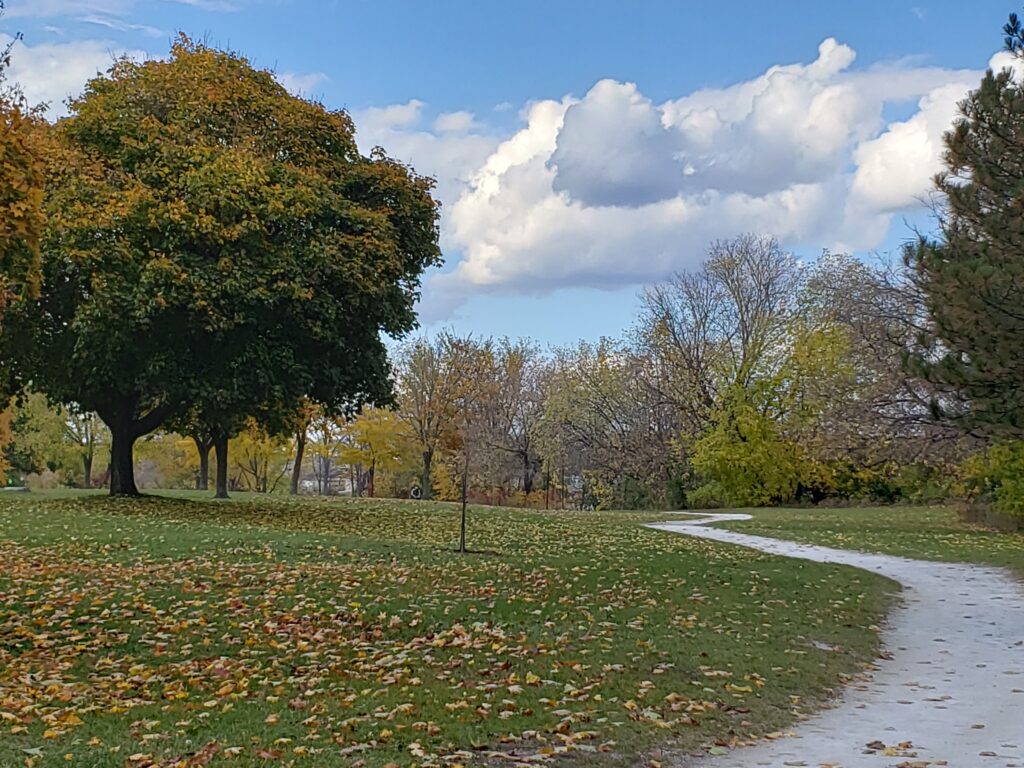 Blackburn Hamlet Trees