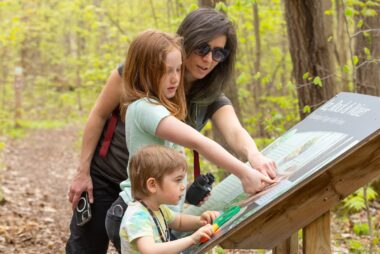 NCC BioBlitz