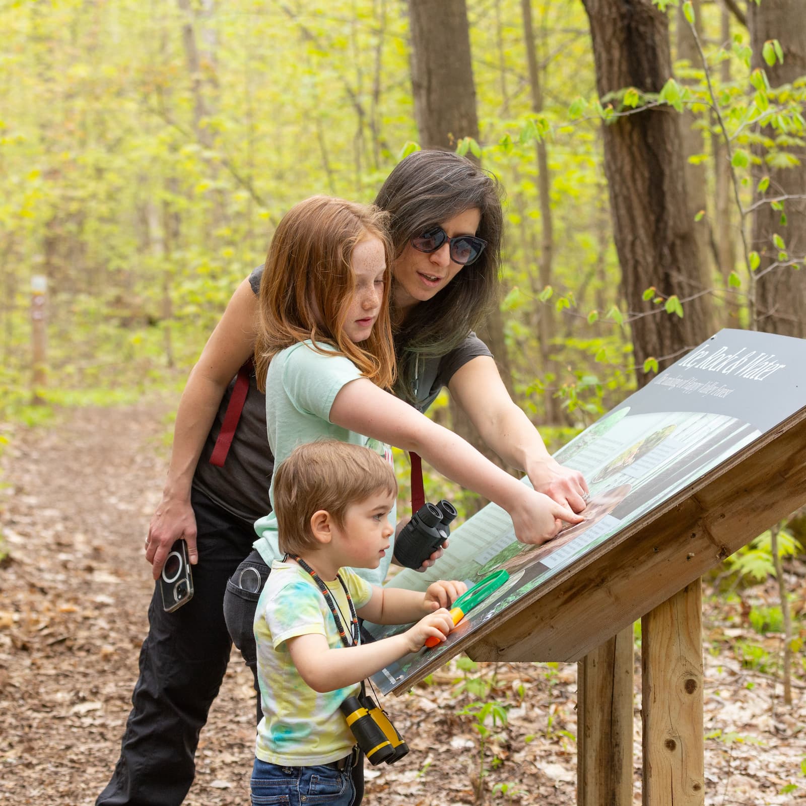 NCC BioBlitz