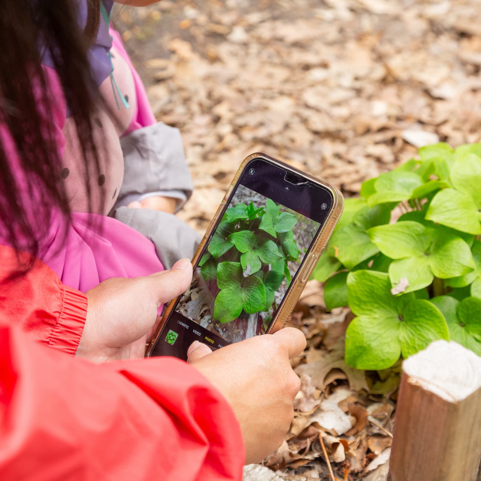 NCC BioBlitz