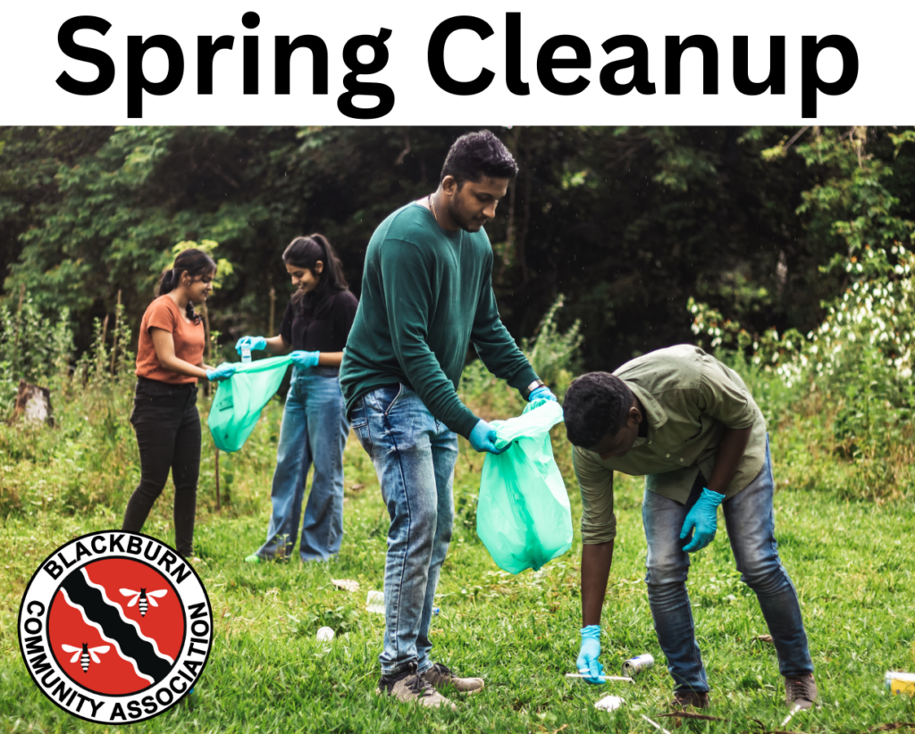 Spring Cleanup