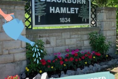 Garden Watering Volunteers Needed