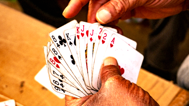 Duplicate Bridge Cards