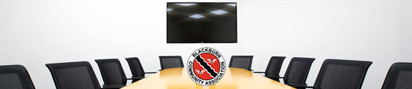 Virtual Board Meeting