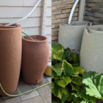 Rain Barrels