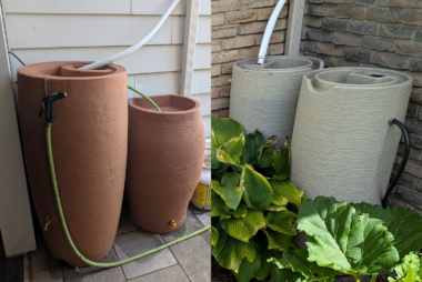 Rain Barrels
