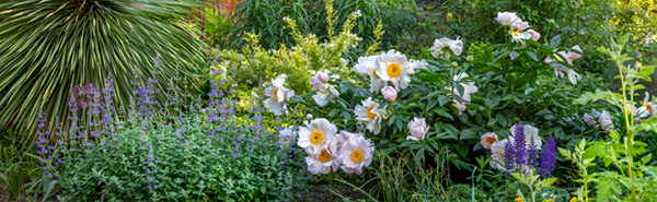 Garden Tour