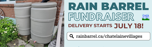 Rain Barrel Sale